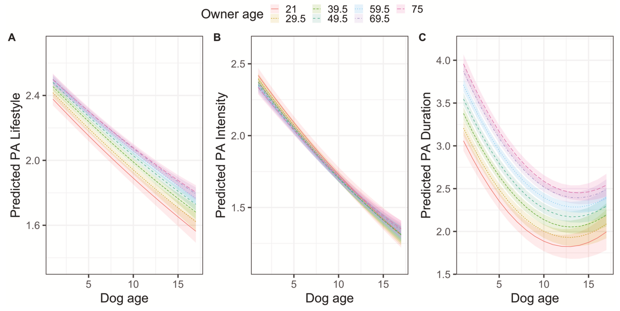 Longevity for dogs 101